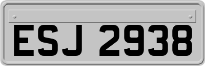 ESJ2938