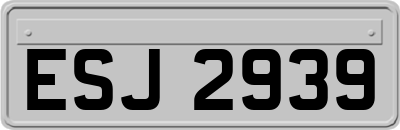 ESJ2939