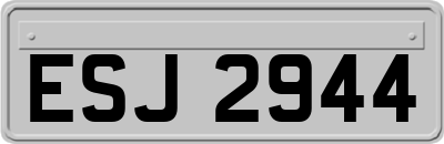 ESJ2944
