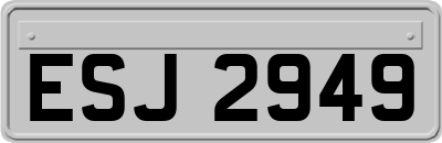 ESJ2949