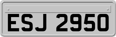 ESJ2950