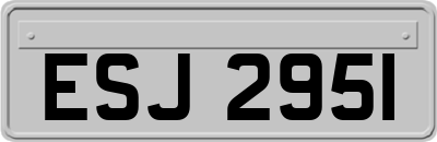 ESJ2951
