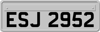 ESJ2952