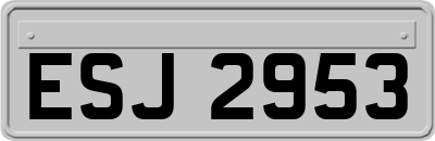 ESJ2953