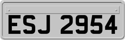 ESJ2954