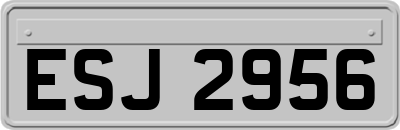 ESJ2956
