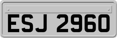 ESJ2960