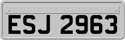ESJ2963