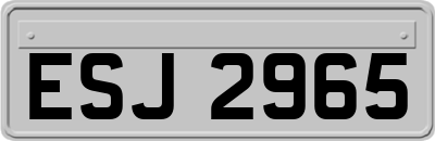 ESJ2965