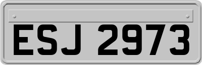 ESJ2973