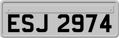 ESJ2974