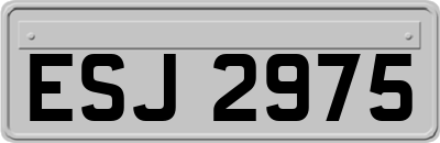 ESJ2975