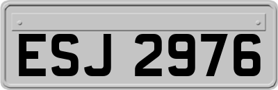 ESJ2976