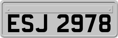 ESJ2978