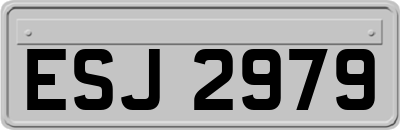 ESJ2979