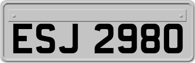 ESJ2980