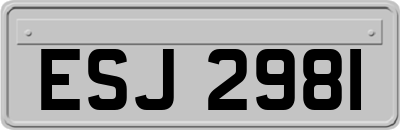 ESJ2981