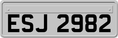 ESJ2982