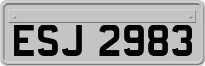 ESJ2983