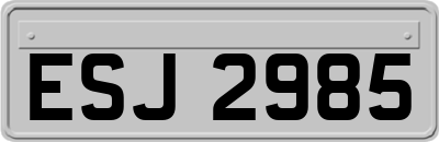 ESJ2985