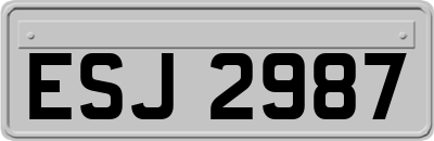 ESJ2987