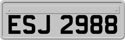 ESJ2988
