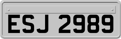 ESJ2989