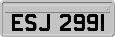 ESJ2991
