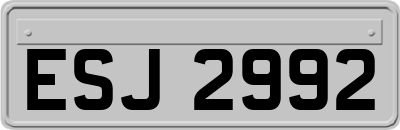 ESJ2992