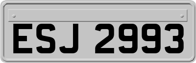 ESJ2993