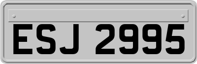 ESJ2995