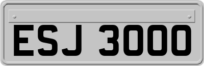 ESJ3000
