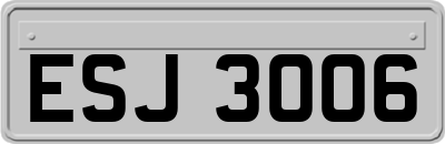 ESJ3006