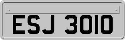 ESJ3010