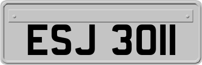 ESJ3011