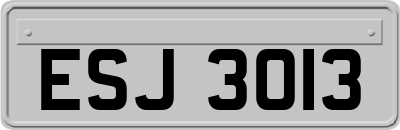 ESJ3013