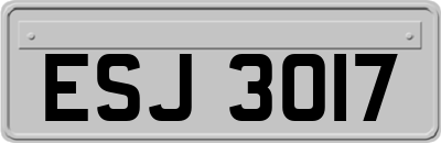 ESJ3017