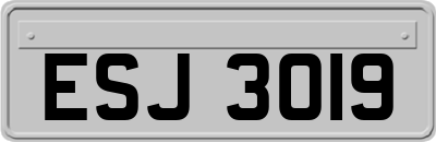 ESJ3019