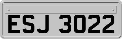 ESJ3022