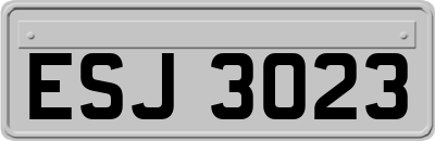 ESJ3023