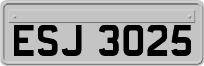 ESJ3025
