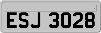 ESJ3028
