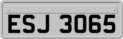 ESJ3065