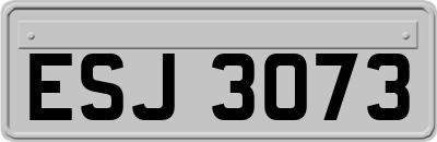 ESJ3073