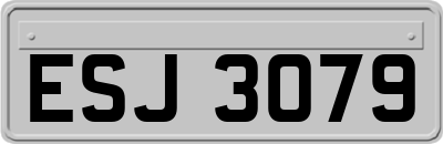 ESJ3079