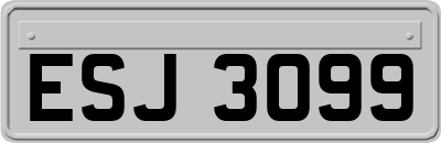 ESJ3099