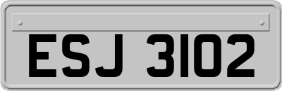 ESJ3102