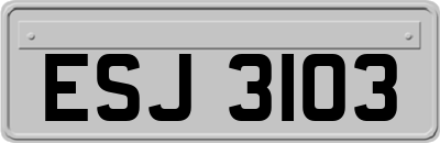 ESJ3103