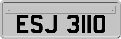 ESJ3110