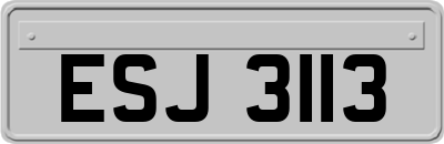 ESJ3113